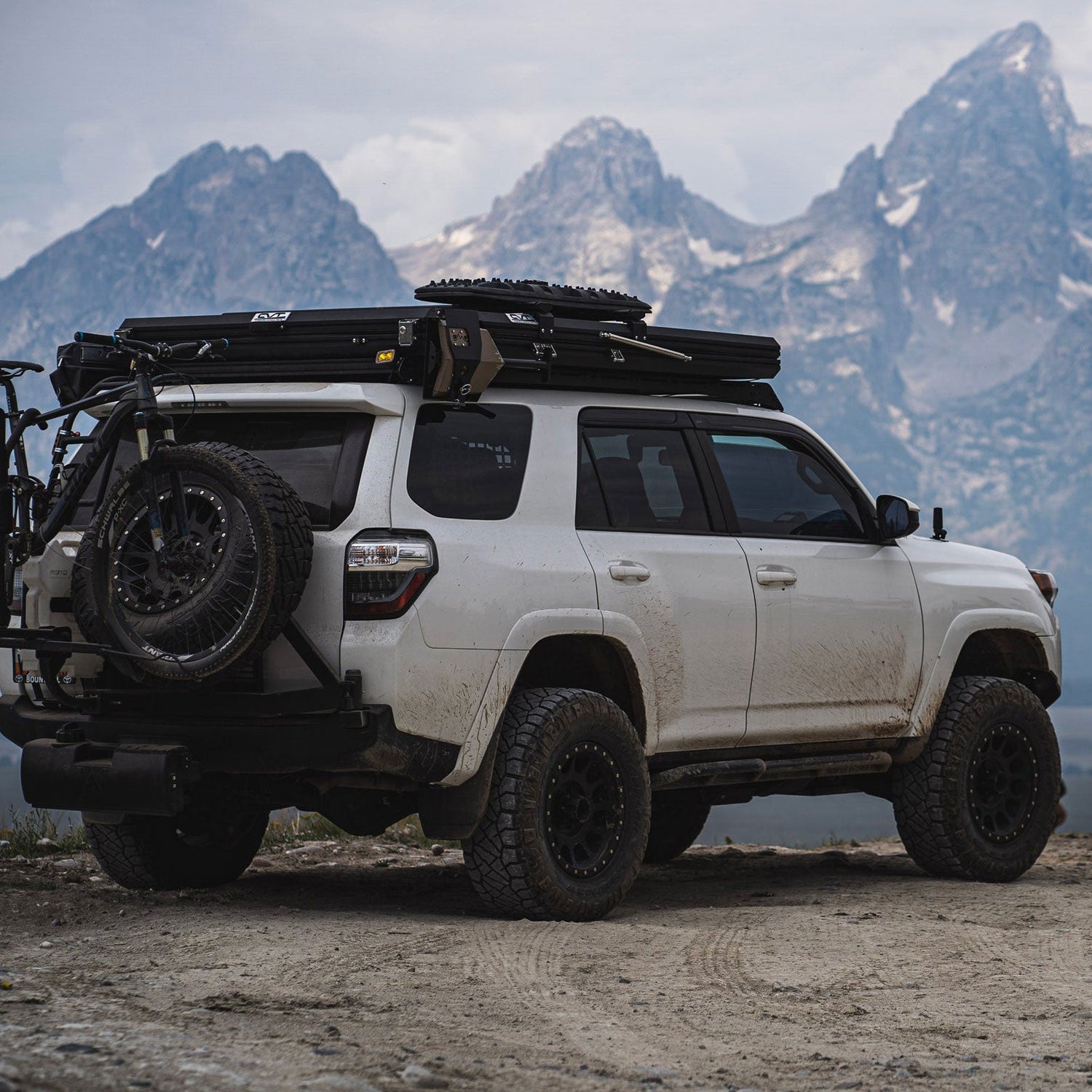 DMOS Delta Shovel - Grayman Trading Company