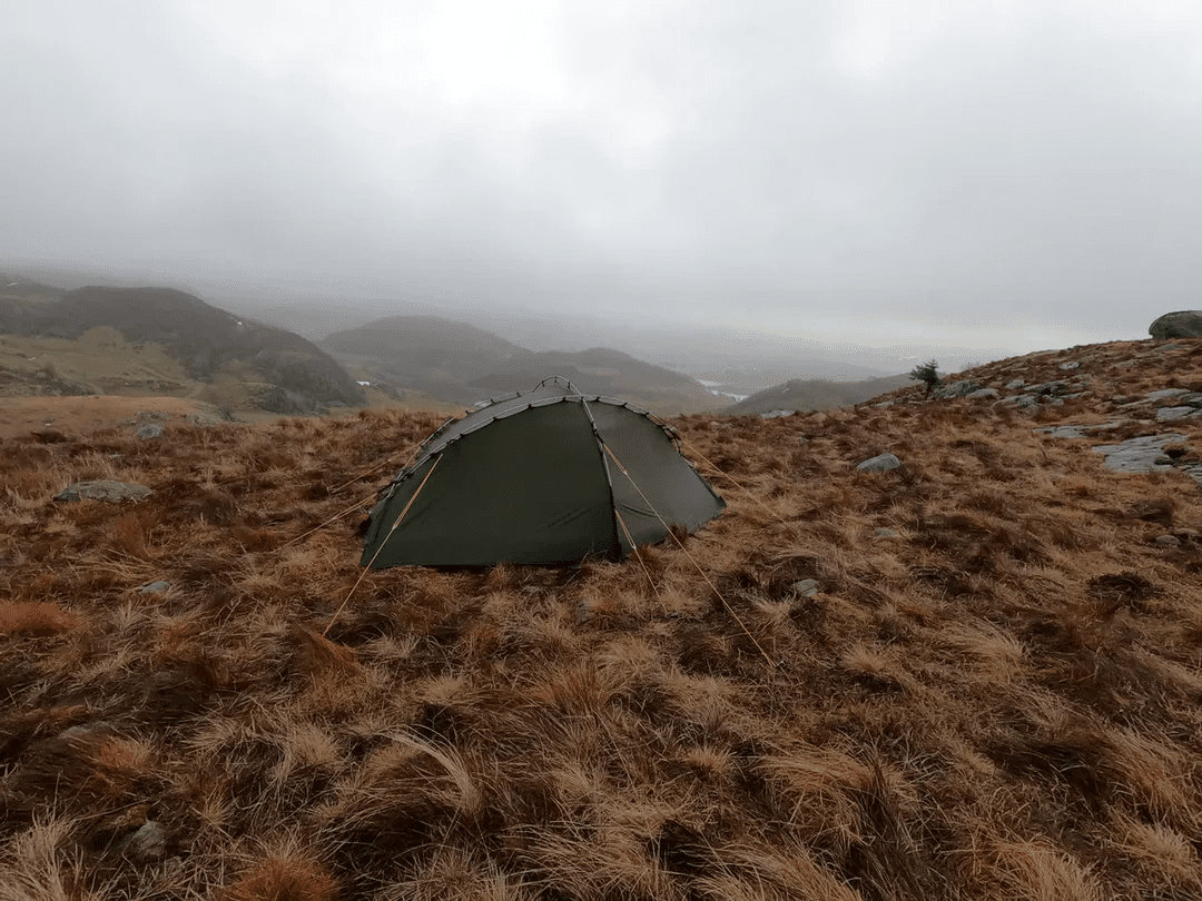 NORTENT Vern 1 (Four Season) - Grayman Trading Company