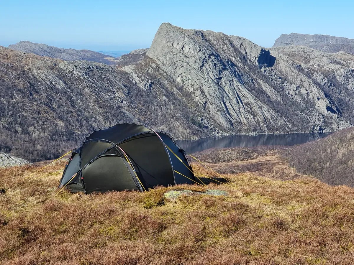 NORTENT Vern 3 - Grayman Trading Company
