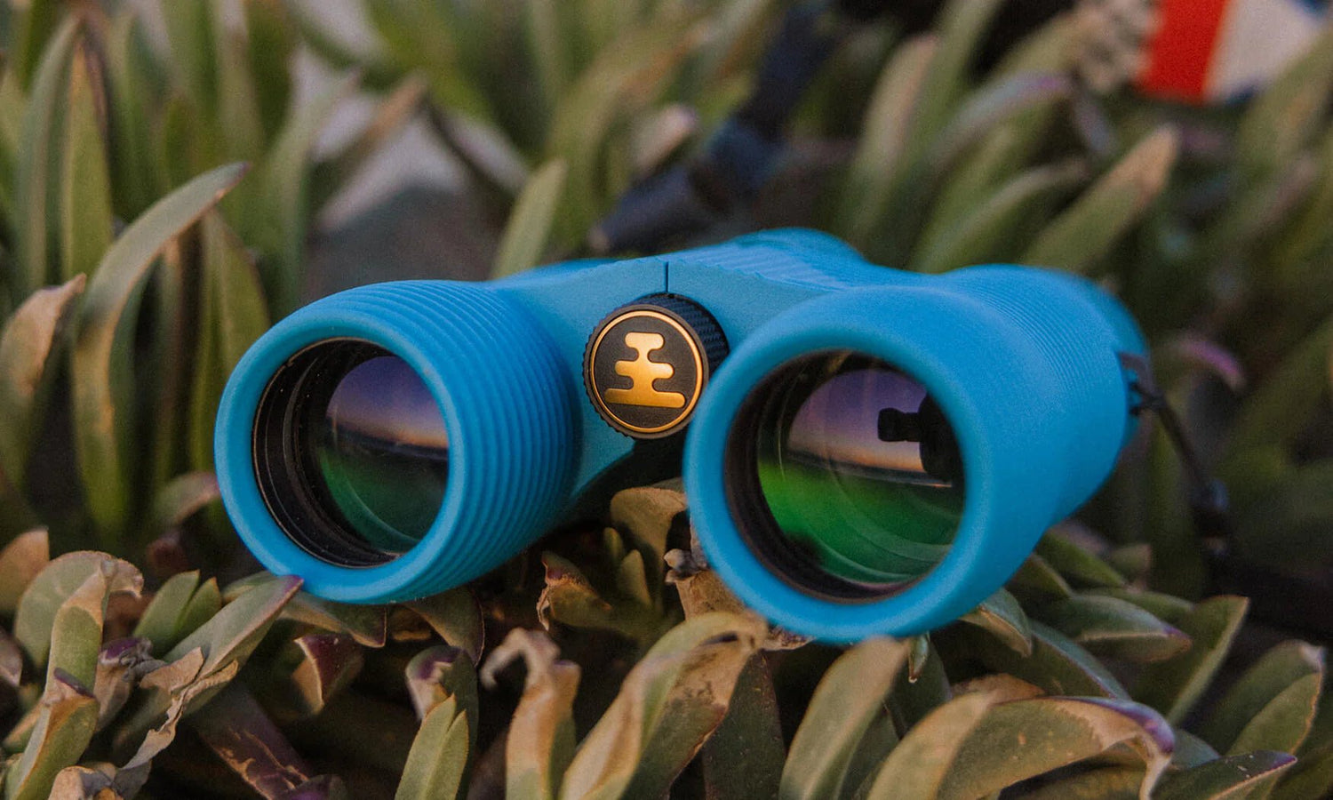 Nocs Provisions Field Issue 8x32 Waterproof Binoculars - Grayman Trading Company