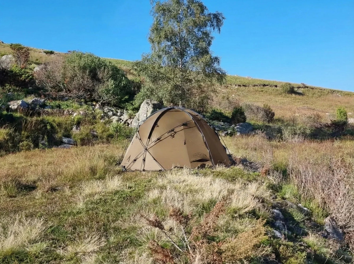 NORTENT Gamme 8 with Floor - Grayman Trading Company