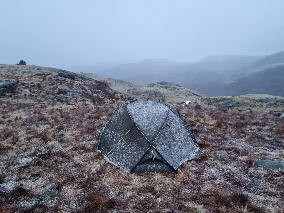 NORTENT Vern 1 (Four Season) - Grayman Trading Company