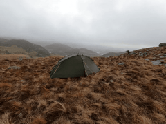 NORTENT Vern 1 (Four Season) - Grayman Trading Company