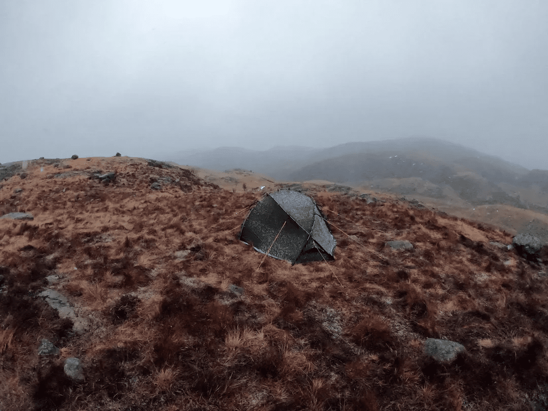 NORTENT Vern 1 (Four Season) - Grayman Trading Company