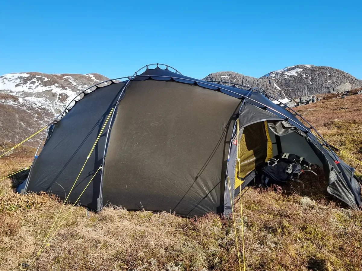 NORTENT Vern 3 - Grayman Trading Company