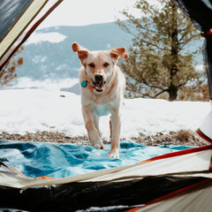 Rumpl Everywhere Mat - Grayman Trading Company