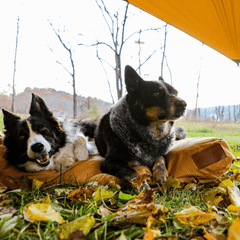 Sunshade Tarp 330 - Grayman Trading Company