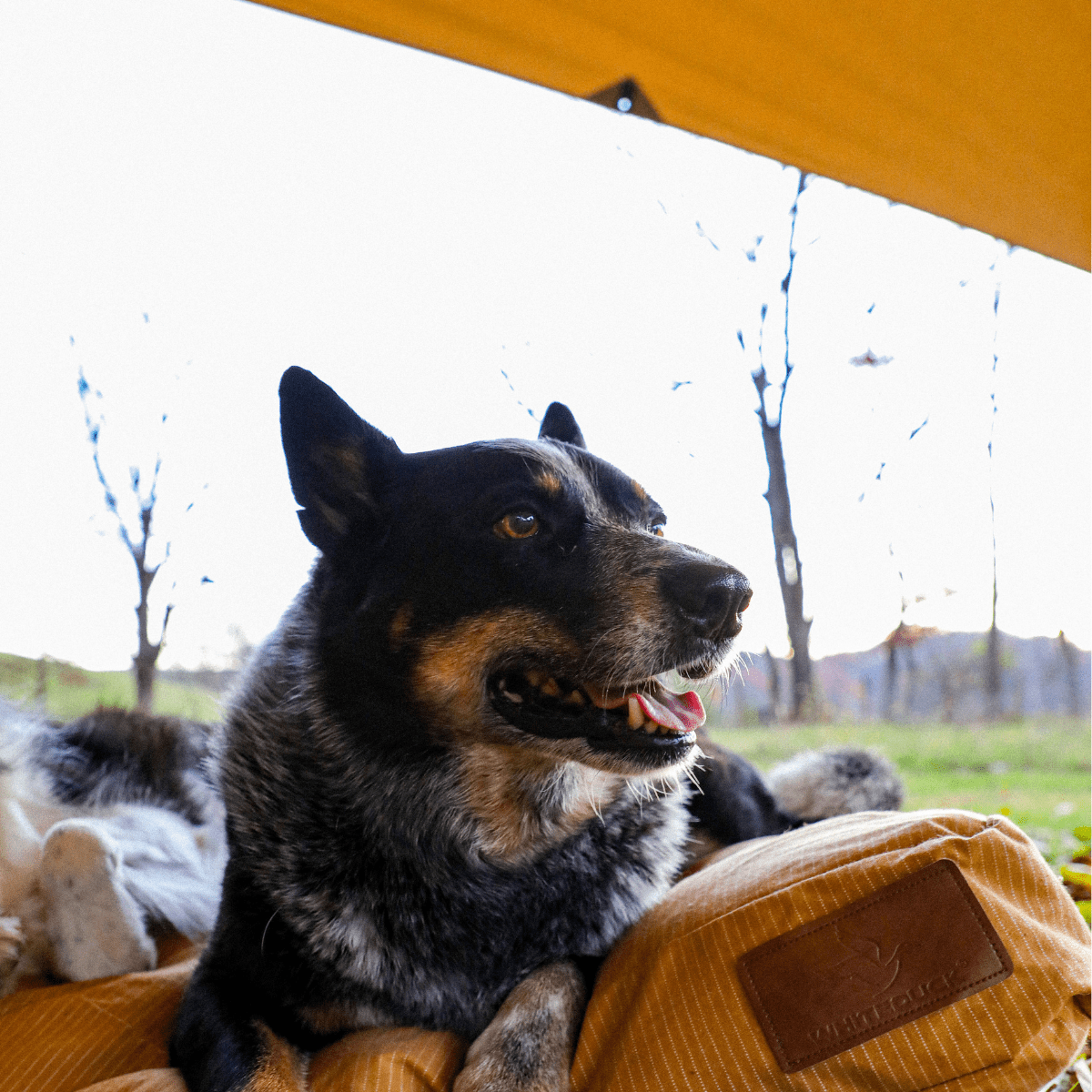 Sunshade Tarp - Grayman Trading Company