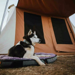 USED - 10'x10' Prota Canvas Tent, Deluxe - Grayman Trading Company
